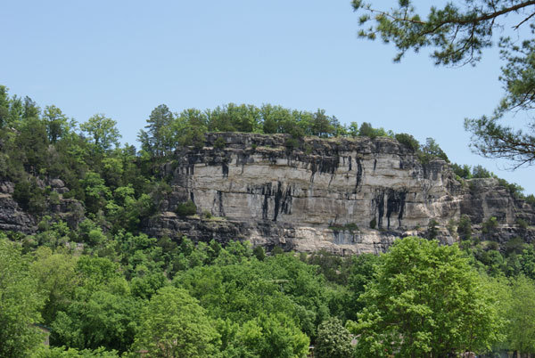 Trees surrounding one of the many bluffs in our area.