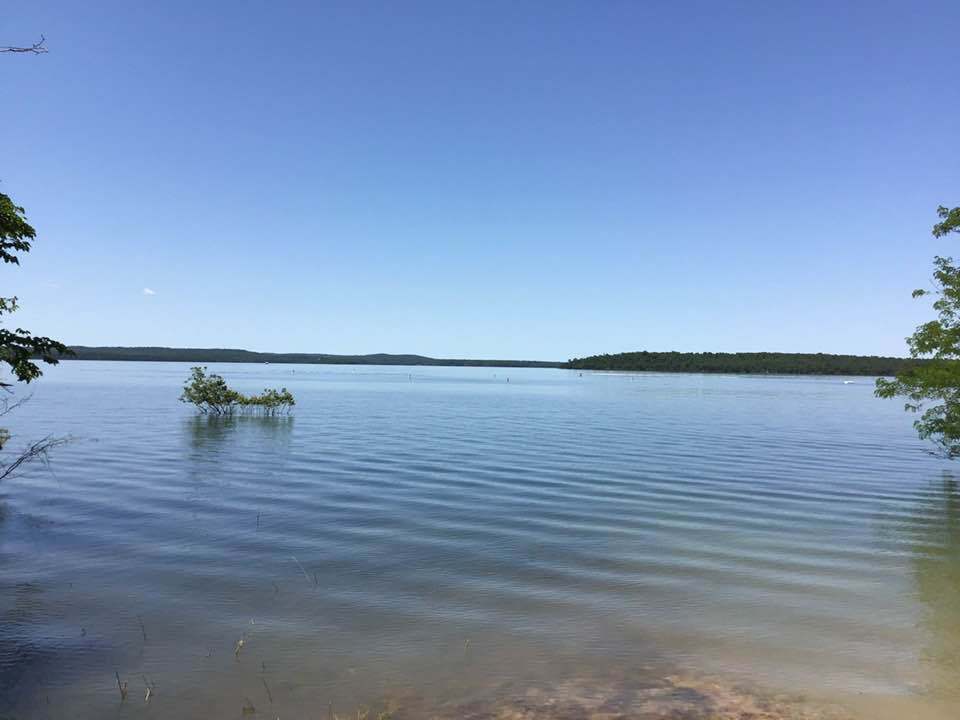 a scene Bull Shoals Lake in the summer