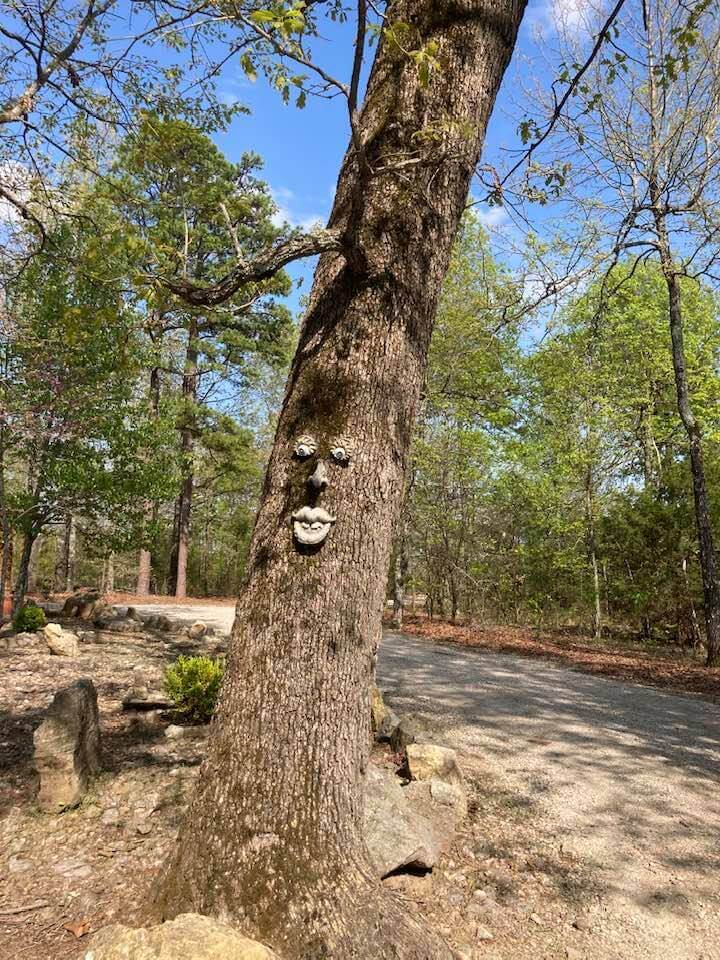 Decorative eyes, nose and lips on a tree trunk next to a road