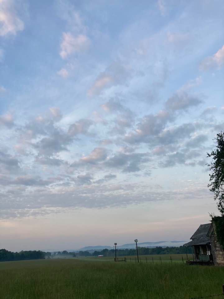 Field with an old homestead in summer