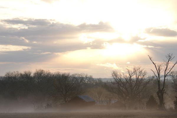 Photo of foggy landscape