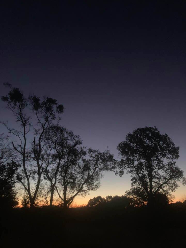 A sunset with the night sky.