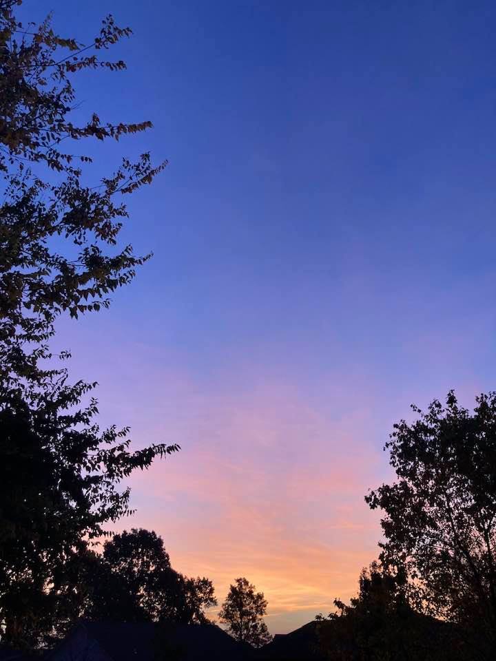 A nice view of the sky in between two trees.