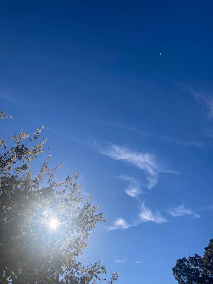 The sun shining through a tree and some clouds.