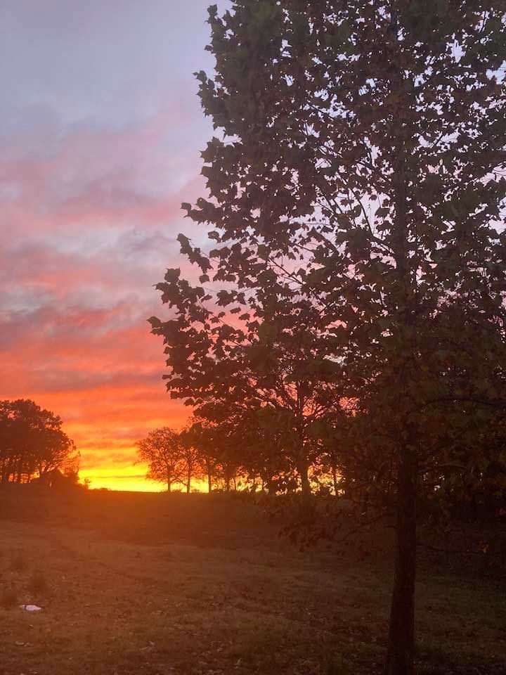 A colorful sky and trees.