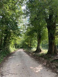 hiking trail