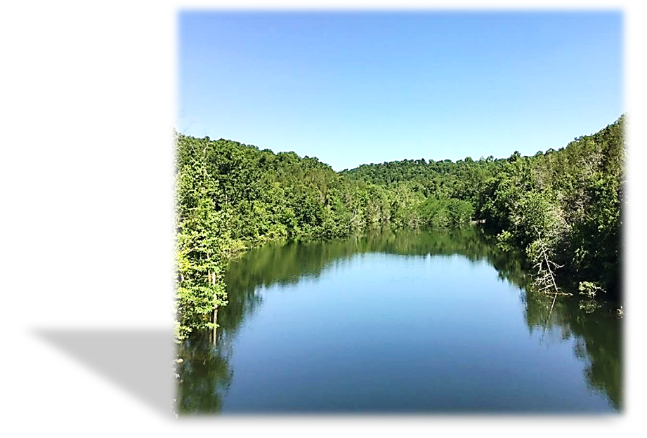 still water surrounded by trees