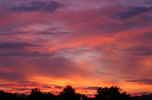 fall sunset with tree shadows