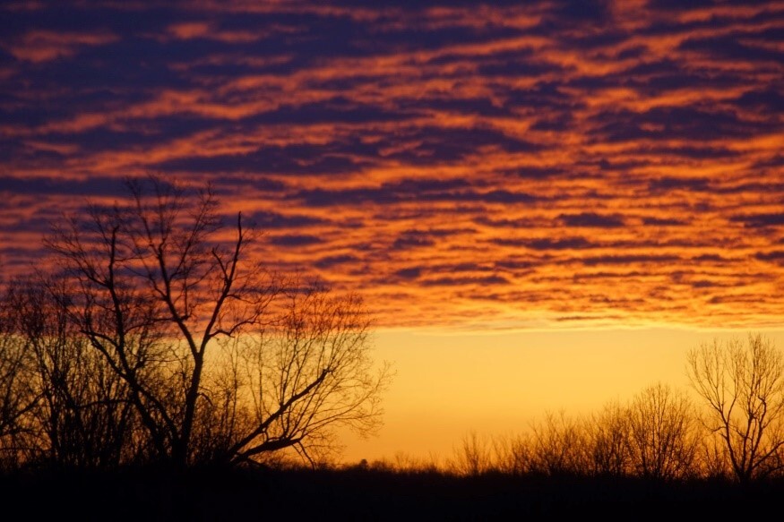 cloudy sunset with trees that do not have leaves