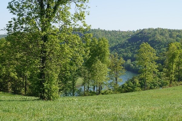 grassy field, trees, and hills with water peeking through