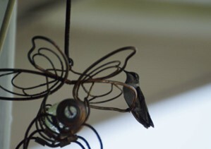 A bird on a metal decoration..jpg