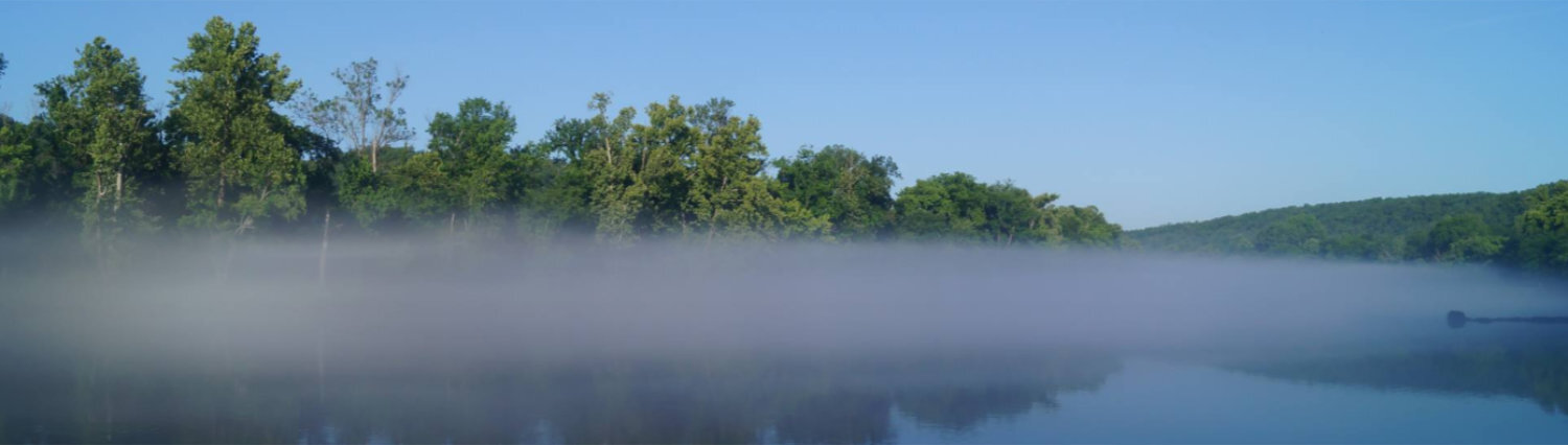 A cloud of fog over a lake's surface