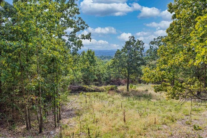 A grass area with trees, overlooking the Ozark mountains.