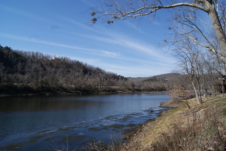 Shoreline of the river