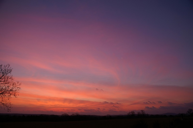 Purple and pink sky sunset