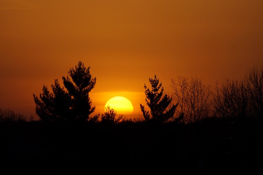 October sunset behind the trees