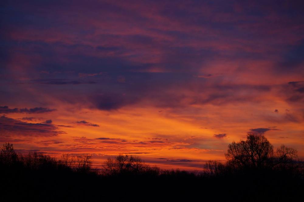 Pink and purple sunrise